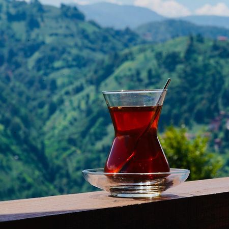 Pathika Bungalov Çamlıhemşin Eksteriør bilde